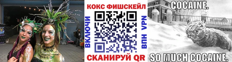 наркота  Шадринск  COCAIN FishScale 
