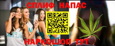 крисы Пенза