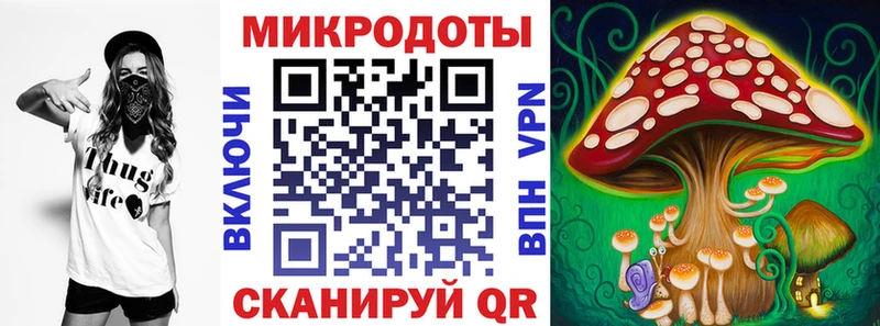 Псилоцибиновые грибы MAGIC MUSHROOMS  закладки  Шадринск 
