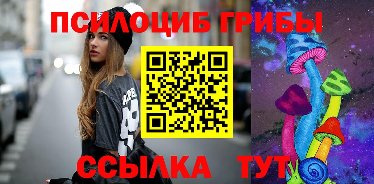 Галлюциногенные грибы Psilocybine cubensis  Вход с VPN  Шадринск 