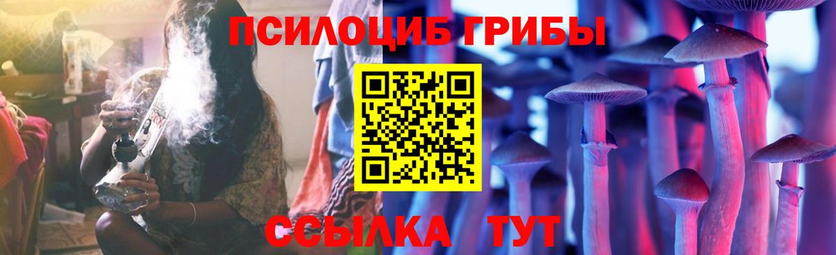 Псилоцибиновые грибы MAGIC MUSHROOMS  цены   Шадринск 